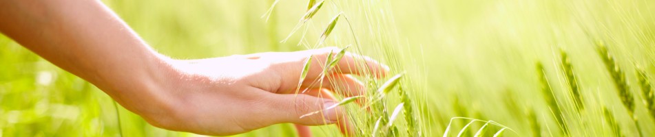 Heden, verleden, toekomst en integraal holistische massage